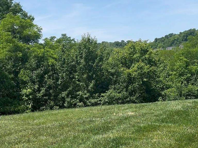 2223 Rolling Hills Dr — Photo 20