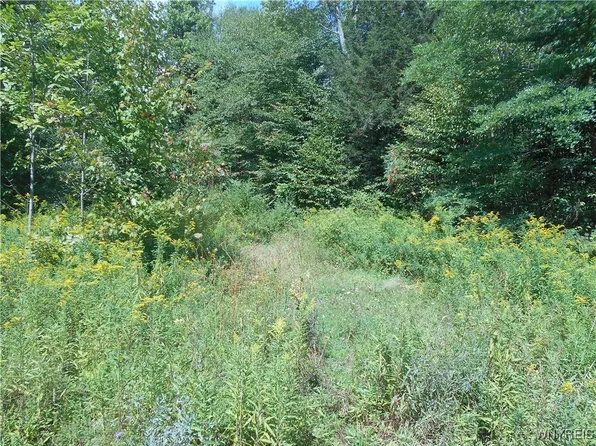 0 Cheeseman Hill Rd #4, Delevan, NY 14042