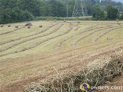 hayfields on property