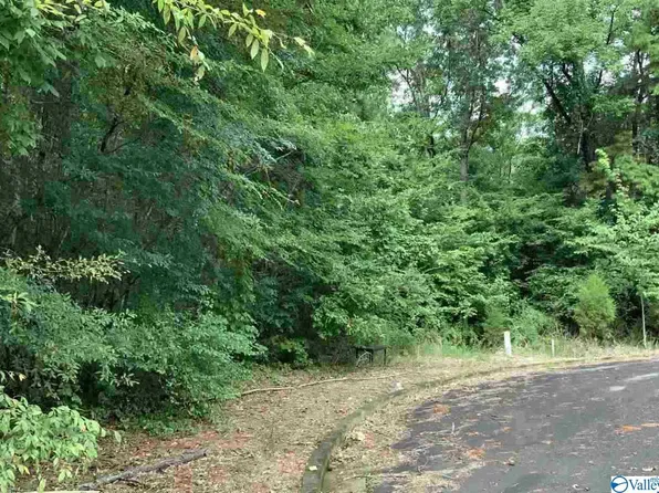 LOT 19 Cade Cir, Leesburg, AL 35983