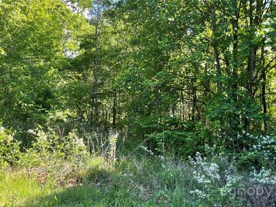 99999 Bachelder Ln, Candler, NC, 28715