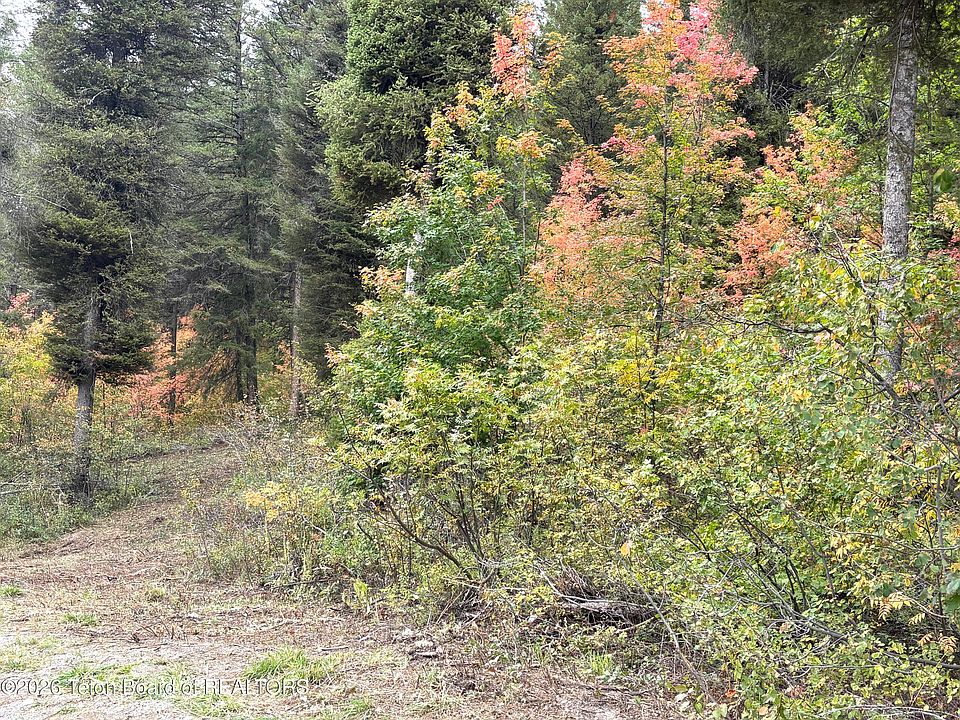 1st image of LOT 60 Cedar Dr