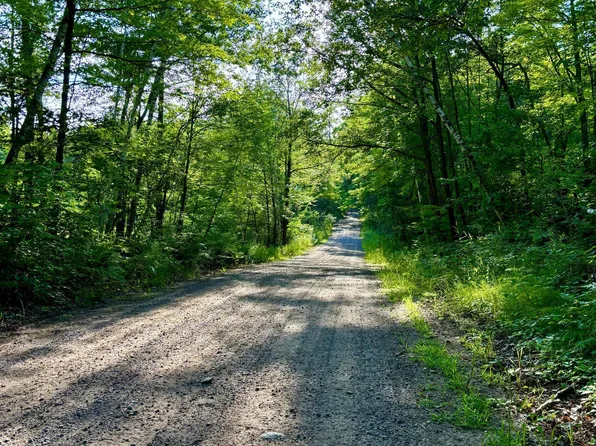 Chippewa Trl, Luck, WI 54853