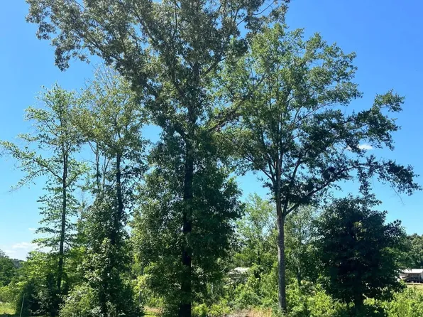 Jewel Dr Lot 2, Many, LA 71449