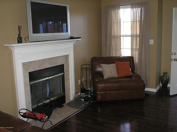 Living Room Fireplace view