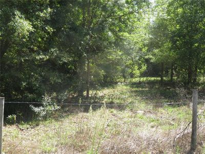 (Undisclosed Address), San Antonio, FL, 33576