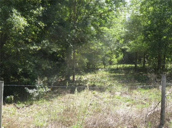 (undisclosed Address), San Antonio, FL 33576