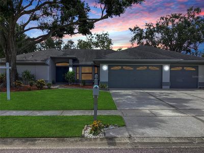 120 Fernbrook Rd, Oldsmar, FL, 34677