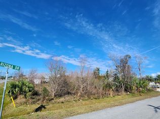 401 Arizona Dr, Mexico Beach, FL 32456