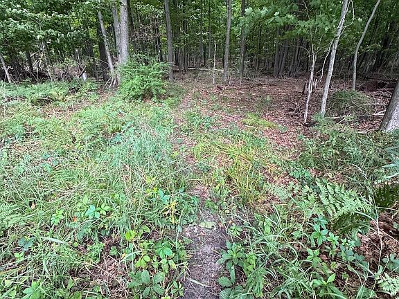 4th image of 3305 S Coville Rd