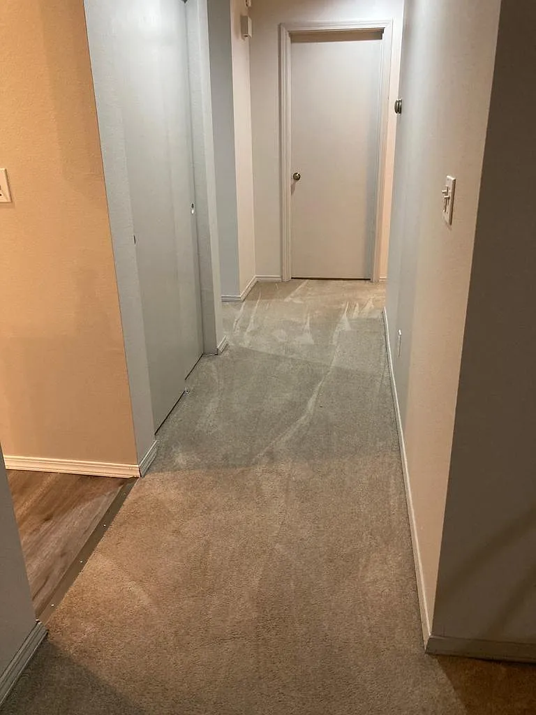 2 bed, 1100 sqft, $1,700 — Photo 3