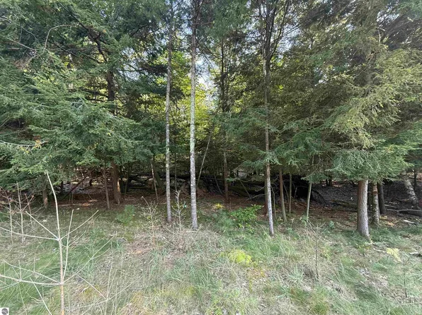 LOT 57 W Harbor Hwy, Glen Arbor, MI 49636
