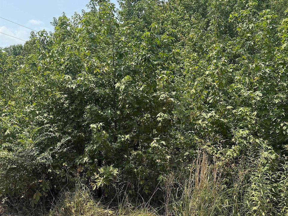 2nd image of LOT 10 Gamble Lane Off Highway 236