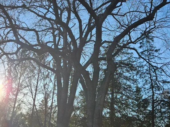 5920 Hodgson Rd, Shoreview, MN 55126