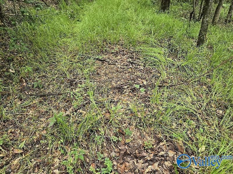 2nd image of Clairmont Springs Rd