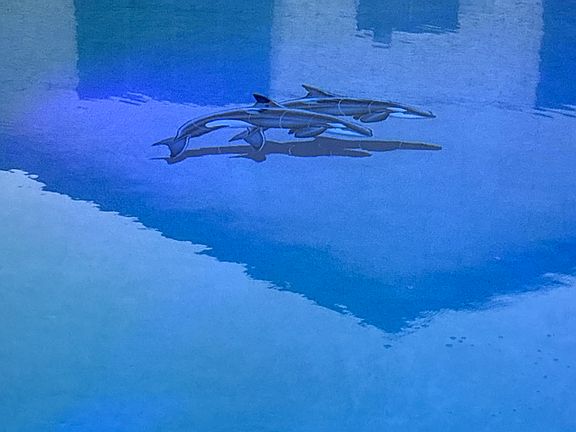Orca Pool Tiles