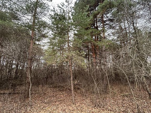 4th image of Cedar St