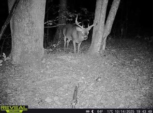 947 Oak Hill Branch Rd, South Webster, OH 45682