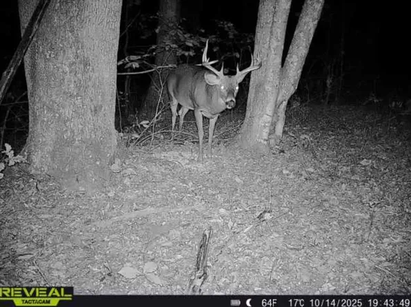 947 Oak Hill Branch Rd, South Webster, OH 45682