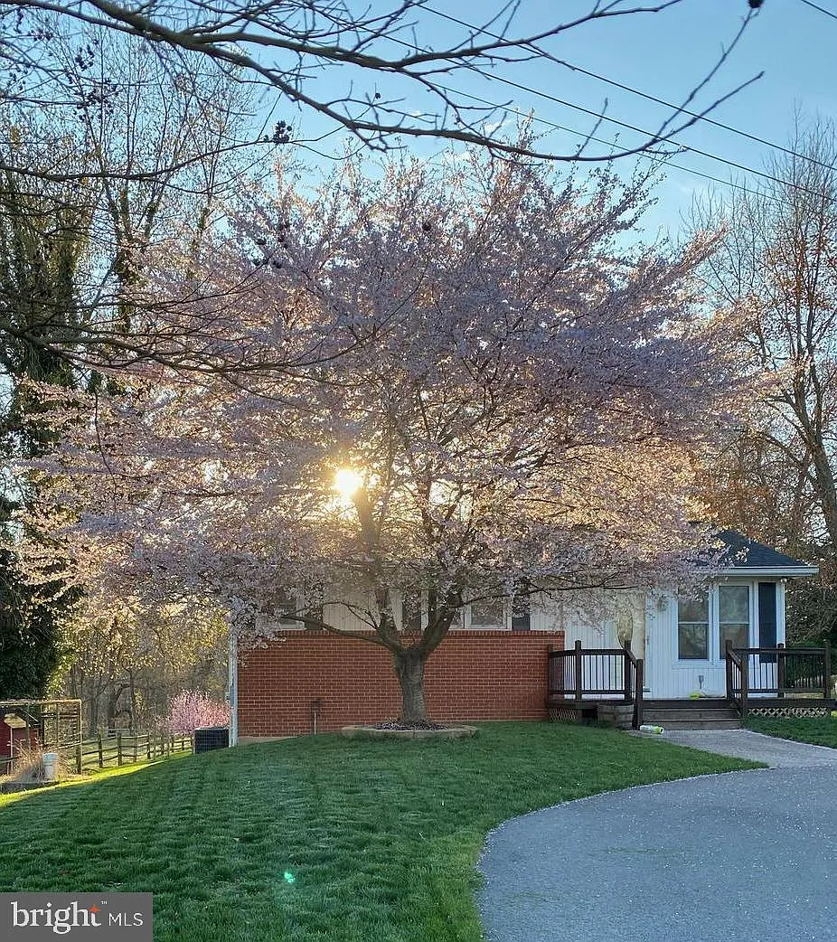 4 bed, 1864 sqft, $3,000 — Photo 1