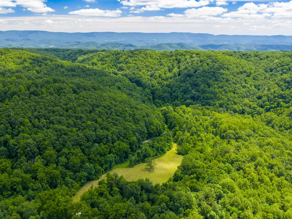 2673 Raines Rd, Union, WV 24983