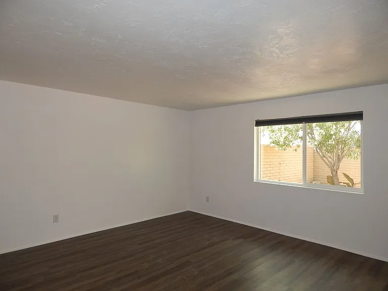 993 N Caribe Ave — Photo 6