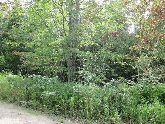 5th image of 0 White Pine Dr NE #18