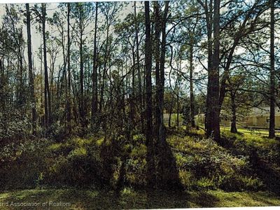 LOT 29 Deedra Dr LOT 29, Wesley Chapel, FL, 33544