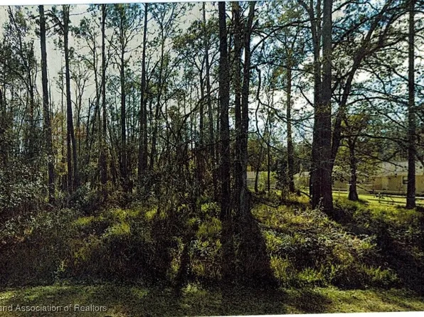 LOT 29 Deedra Dr Lot 29, Wesley Chapel, FL 33544