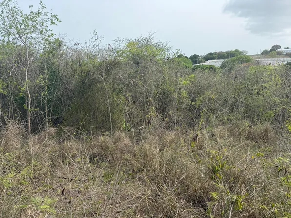 454 Barren Spot QU, St. Croix, VI 00820