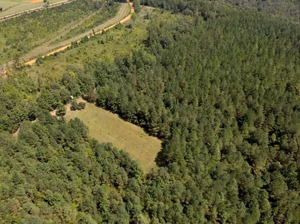 221 Blue Bird Rd, Sulligent, AL 35586