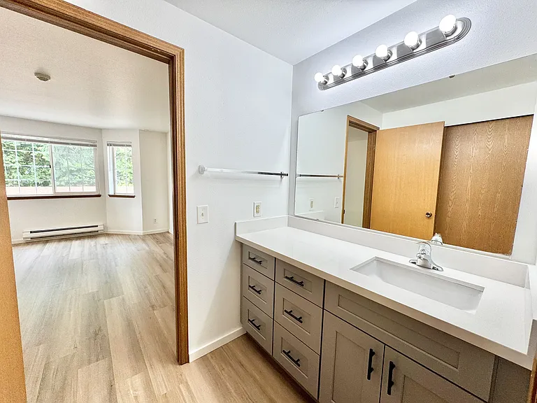 New shaker bathroom vanity cabinets with quartz countertop.