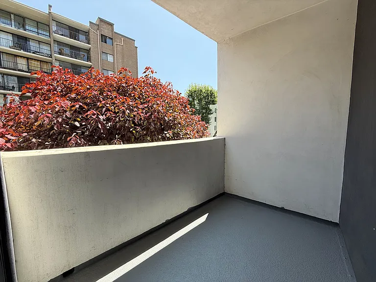 Park Rochester Apartments — Photo 157