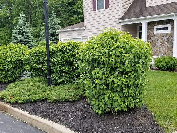5th image of 7 Knollwood Holw
