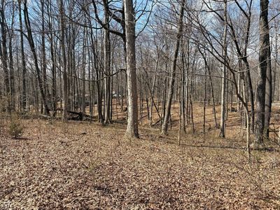 0 Beaver Dr, Nineveh, IN, 46164