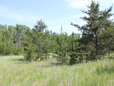 Goranson Ct NW, Bemidji, MN, 56601