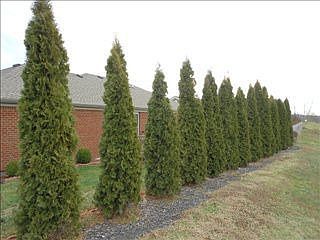 3rd image of 1078 Amberley Way