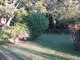 3rd image of 145 Pine St