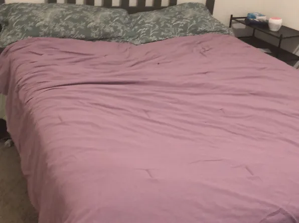 14708 Shooter Mc Gavin Dr, Manor, TX 78653