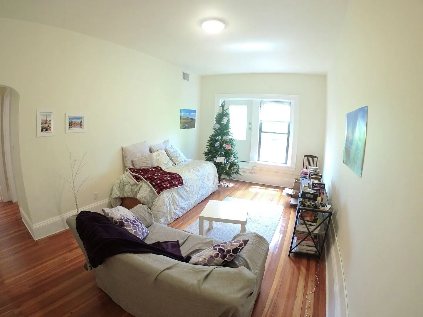 $3950 | 2 bedrooms | 1 bathroom Brookline Living on Beacon Street | Central Air, Renovated Kitche... — Photo 3