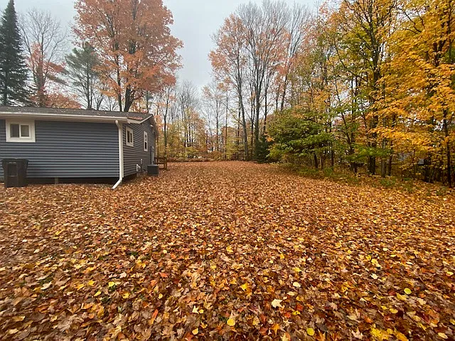 1 bed, 620 sqft, $1,200 — Photo 3