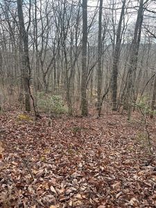 LOT 38 Pioneer Trail Ln, Crawford, TN, 38554