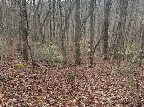 LOT 38 Pioneer Trail Ln, Crawford, TN 38554