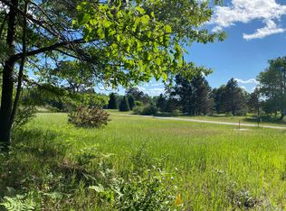 12245 Lila Ct, Stanwood, MI 49346