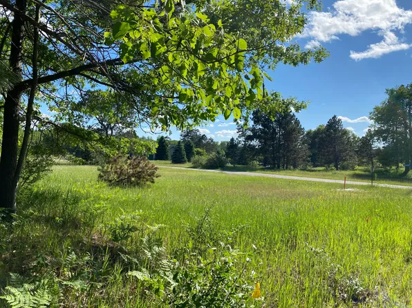 12245 Lila Ct, Stanwood, MI 49346