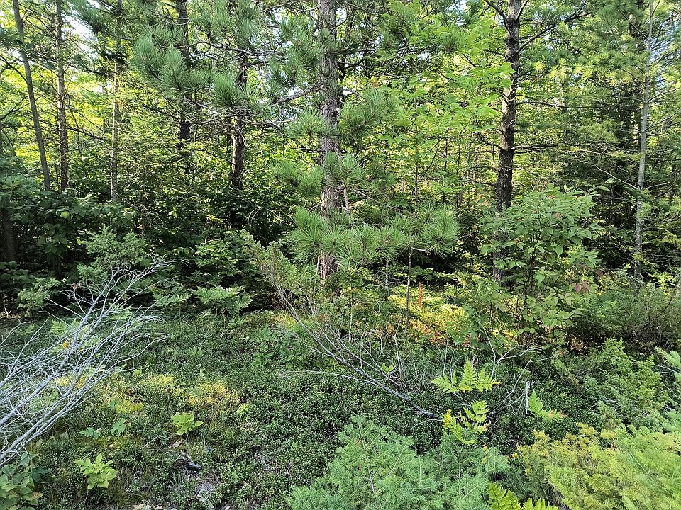 1st image of Harwood Ct