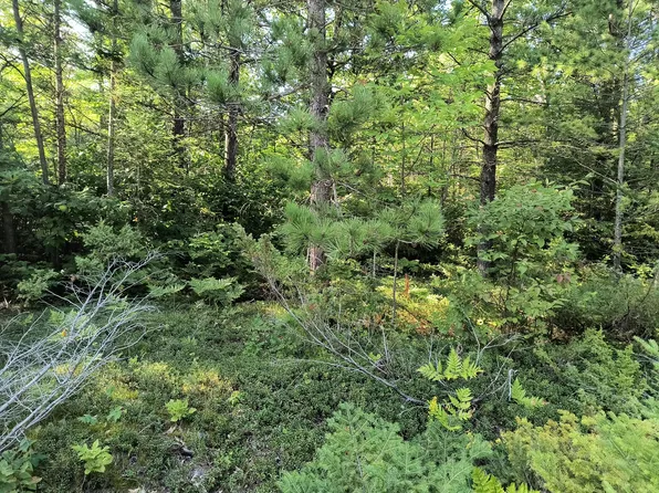 Harwood Ct, Presque Isle, MI 49777