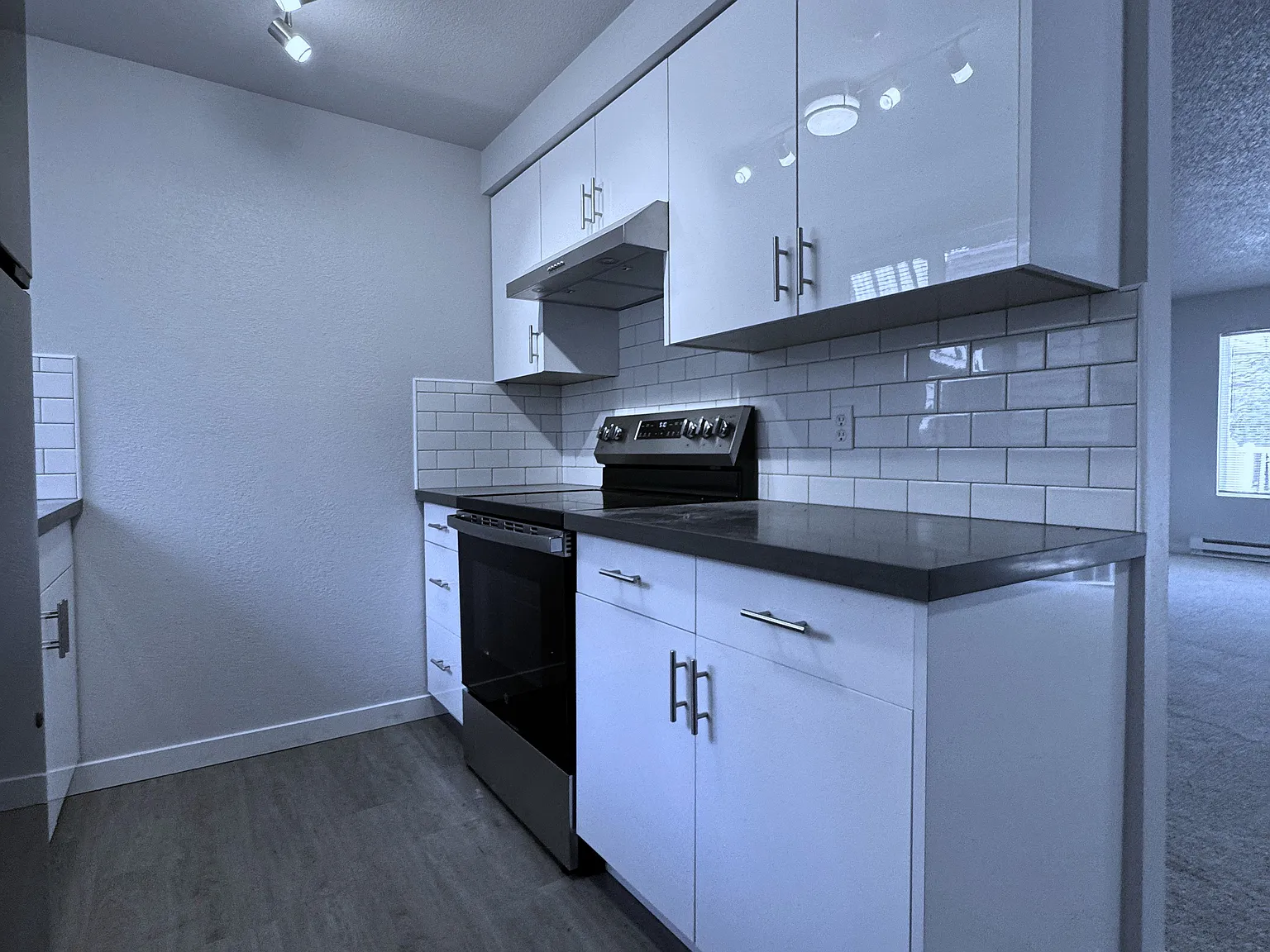 1 bed, 900 sqft, $2,250 — Photo 1