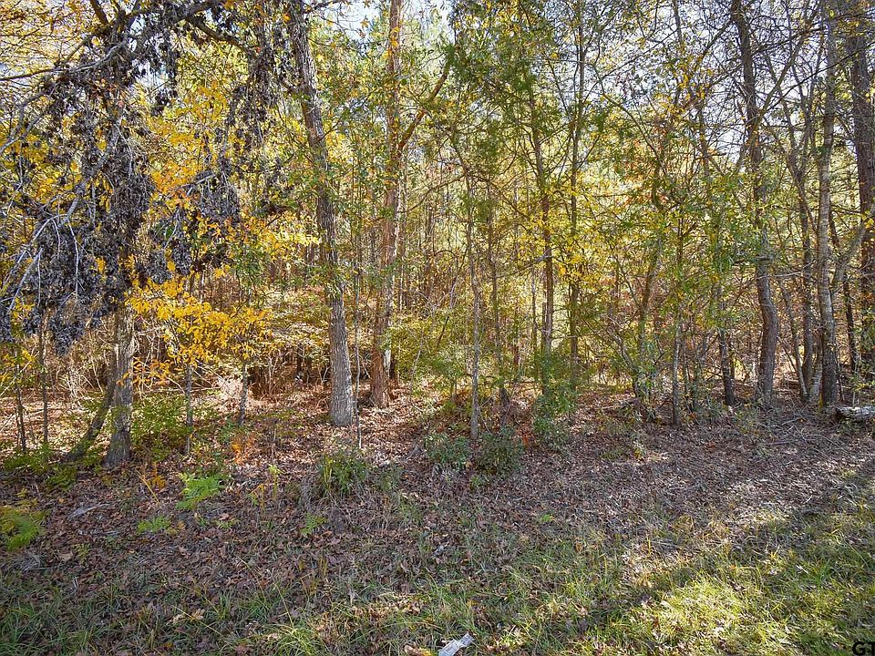 2nd image of Big Oak Bay Rd Tract 1