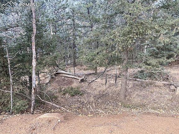 3rd image of 303 Cottonwood Lake Dr